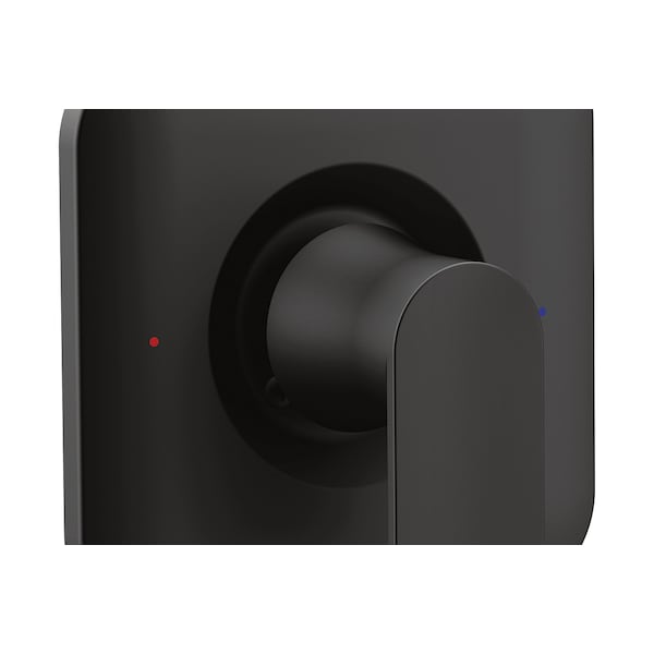 Posi-Temp(R) Valve Trim Matte Black